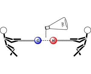 Metal-catalyzed CH activation/functionalization: The fundamentals