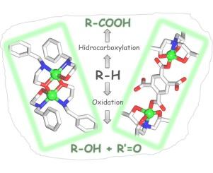 Mild homogeneous oxidation and hydrocarboxylation of cycloalkanes catalyzed by novel dicopper(II) aminoalcohol-driven cores