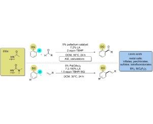 Study of Lewis acid accelerated palladium catalyzed CH activation