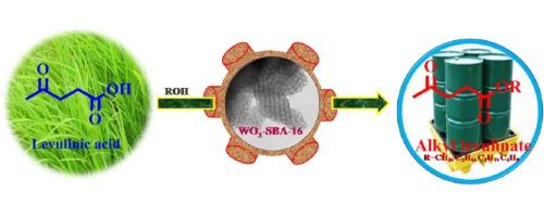 Clean synthesis of alkyl levulinates from levulinic acid over one pot synthesized WO3-SBA-16 catalyst