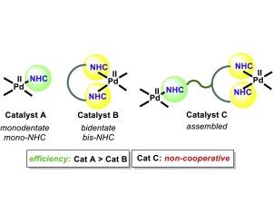 Structure–activity comparison in palladium–N–heterocyclic carbene (NHC) catalyzed arene CH activation- functionalization