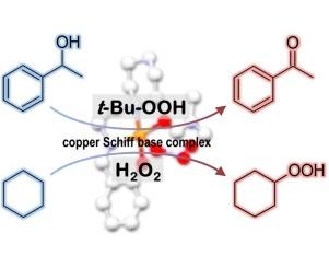 Synthesis, crystal structures and catalytic activity of Cu(II) and Mn(III) Schiff base complexes: Influence of additives on the oxidation catalysis of cyclohexane and 1-phenylehanol