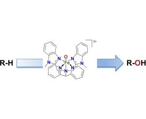 Catalytic C-H oxidations by nonheme mononuclear Fe(II) complexes of two pentadentate ligands: Evidence for an Fe(IV) oxo intermediate