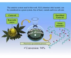 Epoxy monomers obtained from castor oil using a toxicity-free catalytic system