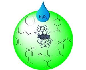 Catalytic homogeneous oxidation of monoterpenes and cyclooctene with hydrogen peroxide in the presence of sandwich-type tungstophosphates [M4(H2O)2(PW9O34)2]n−, M = CoII, MnII and FeIII