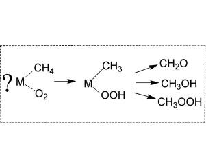 Activation and selective oxy-functionalization of alkanes with metal complexes: Shilov reaction and some new aspects