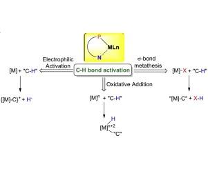 Insights on the CH Bond activation by Transition Metal Complexes from Groups 8–10 Bearing (P-N) Chelates