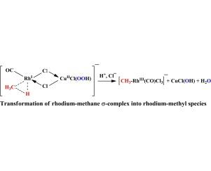 Homogeneous oxidation of alkanes: Role of rhodium–alkyl complexes