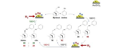 Selectivity control in one-pot myrtenol amination over Au/ZrO2 by molecular hydrogen addition