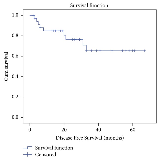 Treatment Outcome of Carcinoma Vulva Ten-Year Experience from a Tertiary Cancer Centre in South India.