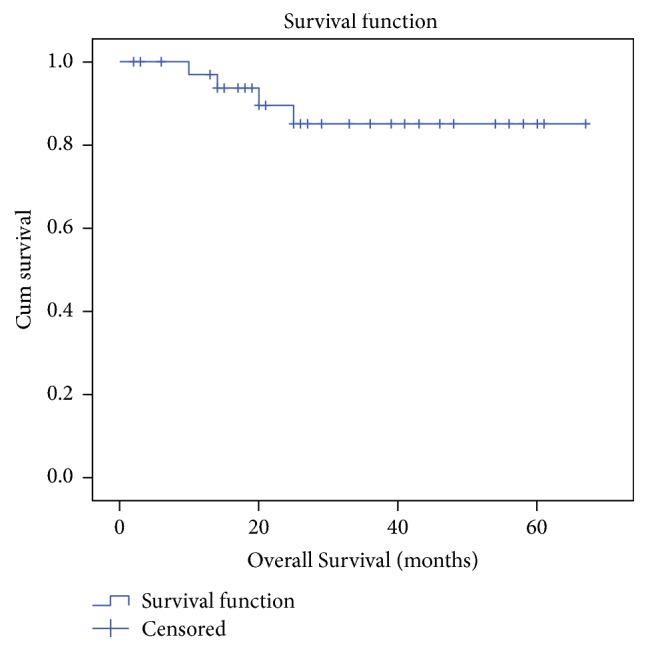 Treatment Outcome of Carcinoma Vulva Ten-Year Experience from a Tertiary Cancer Centre in South India.