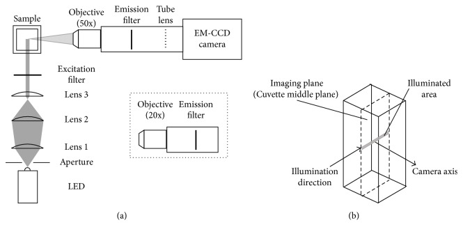 Space and Time Resolved Detection of Platelet Activation and von Willebrand Factor Conformational Changes in Deep Suspensions.