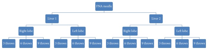 Comparison of the Diagnostic Yield of EUS Needles for Liver Biopsy: Ex Vivo Study.