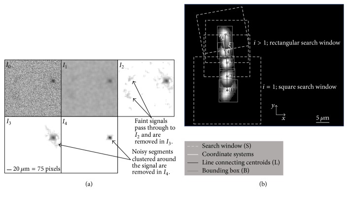 Space and Time Resolved Detection of Platelet Activation and von Willebrand Factor Conformational Changes in Deep Suspensions.