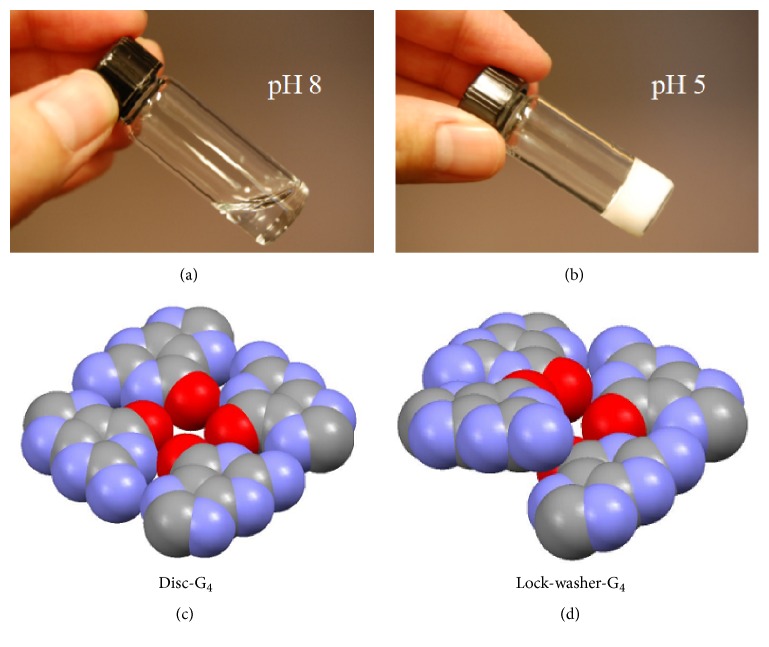 On the Helical Structure of Guanosine 5'-Monophosphate Formed at pH 5: Is It Left- or Right-Handed?