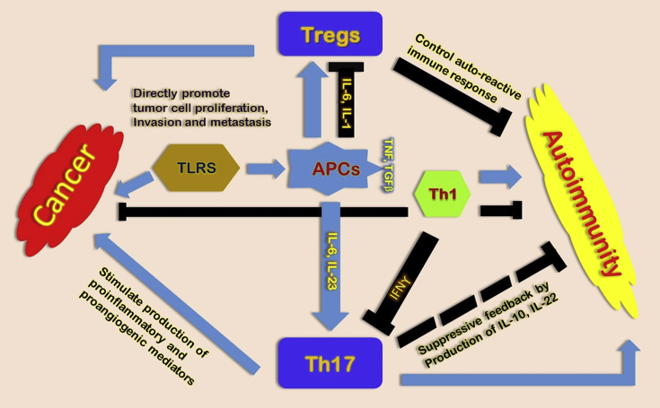 Initiative action of tumor-associated macrophage during tumor metastasis