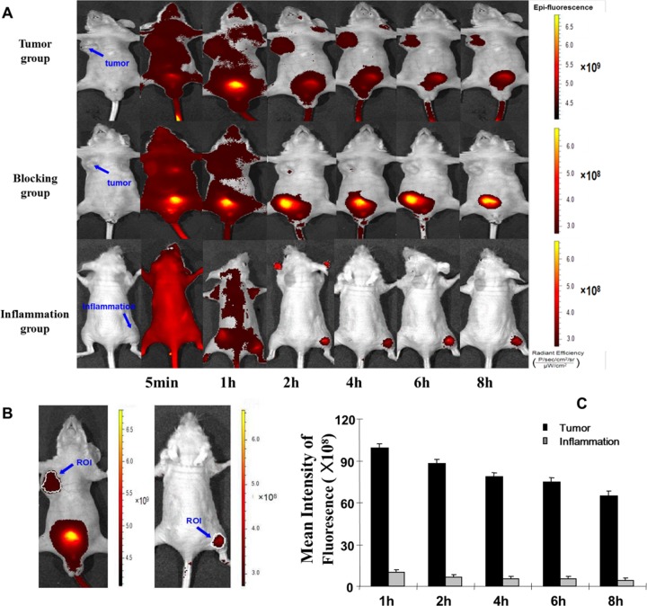 Targeted Imaging of Tumor-Associated Macrophages by Cyanine 7-Labeled Mannose in Xenograft Tumors.