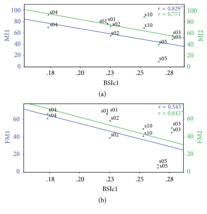 Brain Symmetry Index in Healthy and Stroke Patients for Assessment and Prognosis.