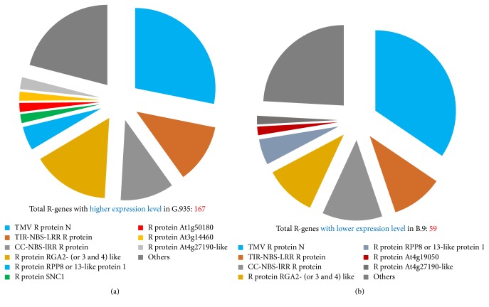 Comparative Transcriptome Analysis Reveals a Preformed Defense System in Apple Root of a Resistant Genotype of G.935 in the Absence of Pathogen.