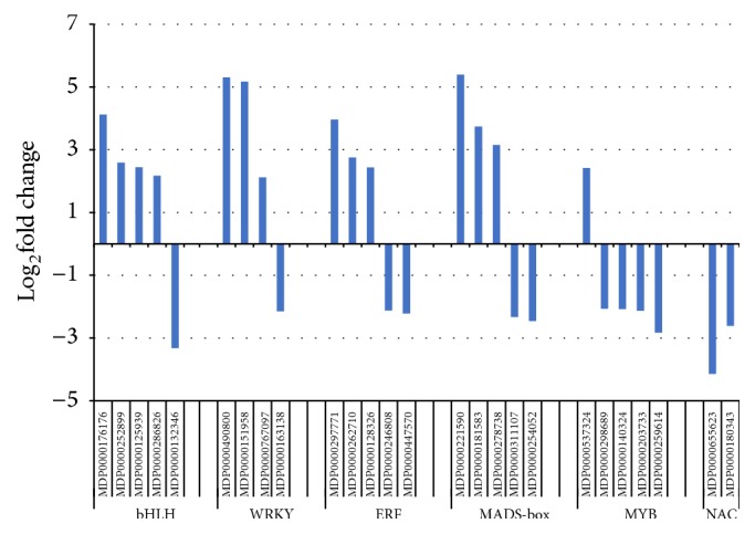 Comparative Transcriptome Analysis Reveals a Preformed Defense System in Apple Root of a Resistant Genotype of G.935 in the Absence of Pathogen.