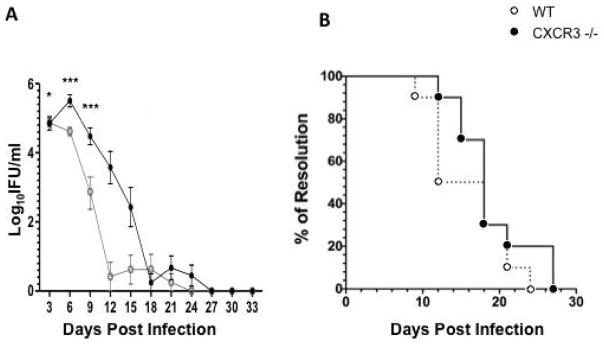 Expression of CXCR3 on Adaptive and Innate Immune Cells Contributes Oviduct Pathology throughout <i>Chlamydia muridarum</i> Infection.