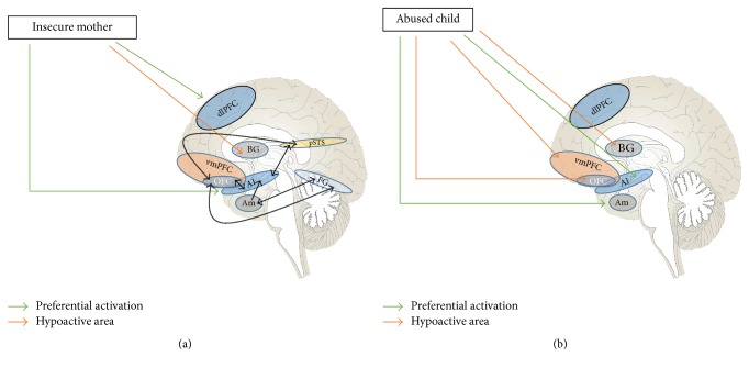 Epigenetic and Neural Circuitry Landscape of Psychotherapeutic Interventions.