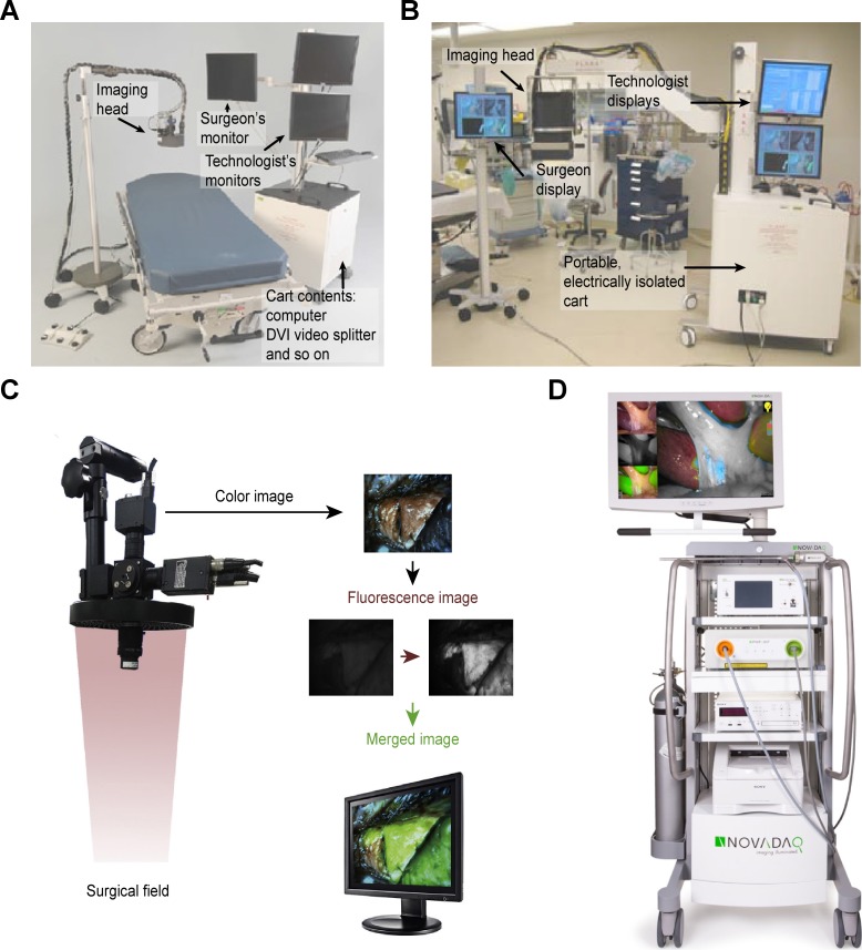 Combination of Fluorescence-Guided Surgery With Photodynamic Therapy for the Treatment of Cancer.