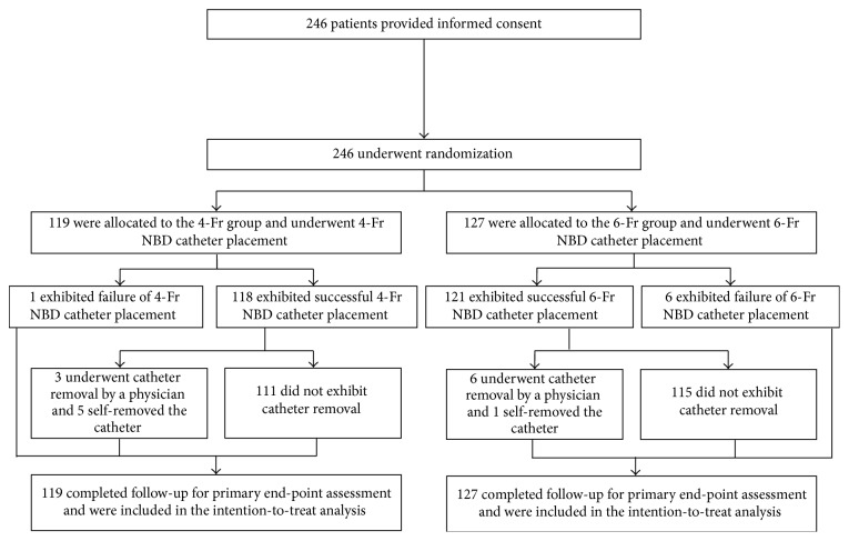 Use of 4-Fr versus 6-Fr Nasobiliary Catheter for Biliary Drainage: A Prospective, Multicenter, Randomized, Controlled Study.