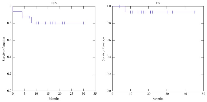 <sup>18</sup>F-FDG Pet-Guided External Beam Radiotherapy in Iodine-Refractory Differentiated Thyroid Cancer: A Pilot Study.