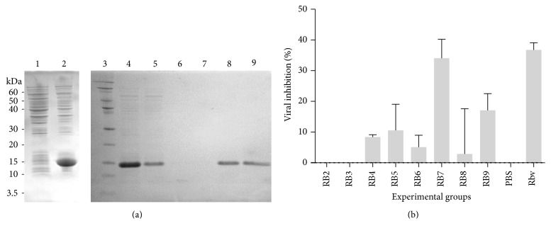 Phage-Displayed Peptides Selected to Bind Envelope Glycoprotein Show Antiviral Activity against Dengue Virus Serotype 2.