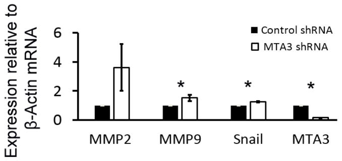 MTA3 Regulates Extravillous Trophoblast Invasion Through NuRD Complex.