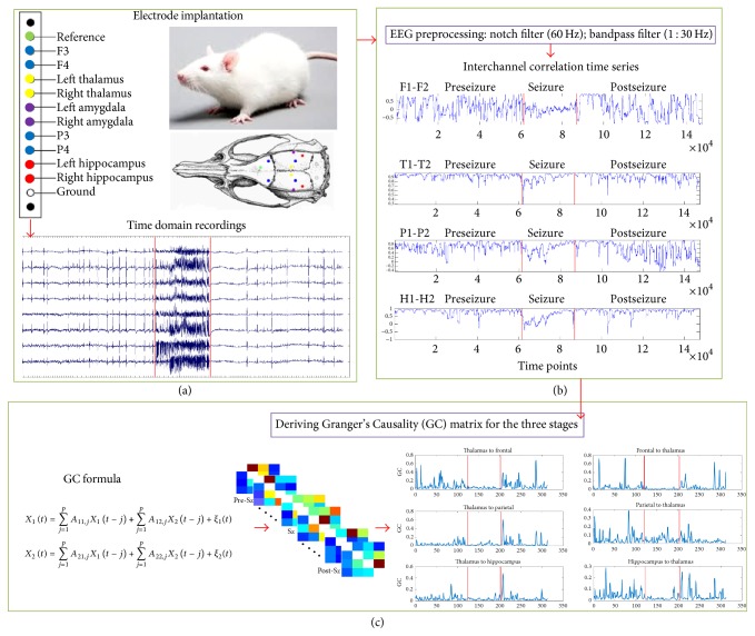 Seizure Detection and Network Dynamics of Generalized Convulsive Seizures: Towards Rational Designing of Closed-Loop Neuromodulation.