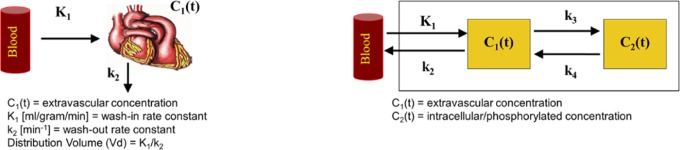 Longitudinal Evaluation of Myocardial Fatty Acid and Glucose Metabolism in Fasted and Nonfasted Spontaneously Hypertensive Rats Using MicroPET/CT.