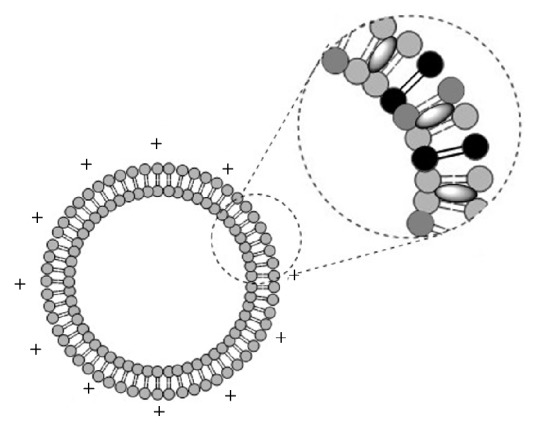 Transfection Studies with Colloidal Systems Containing Highly Purified Bipolar Tetraether Lipids from <i>Sulfolobus acidocaldarius</i>.