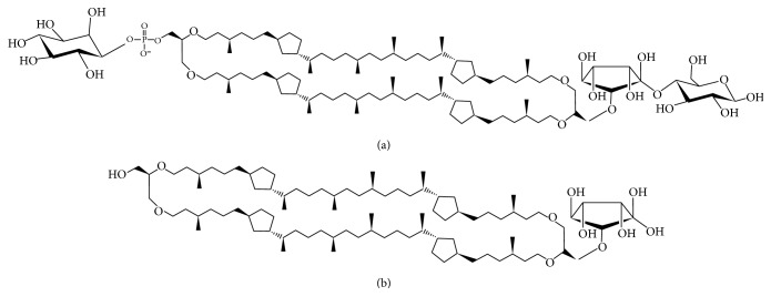 Transfection Studies with Colloidal Systems Containing Highly Purified Bipolar Tetraether Lipids from <i>Sulfolobus acidocaldarius</i>.