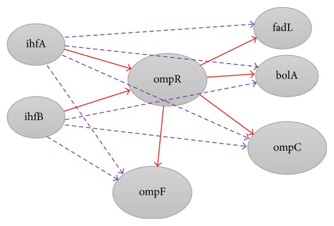 Multiple Linear Regression for Reconstruction of Gene Regulatory Networks in Solving Cascade Error Problems.