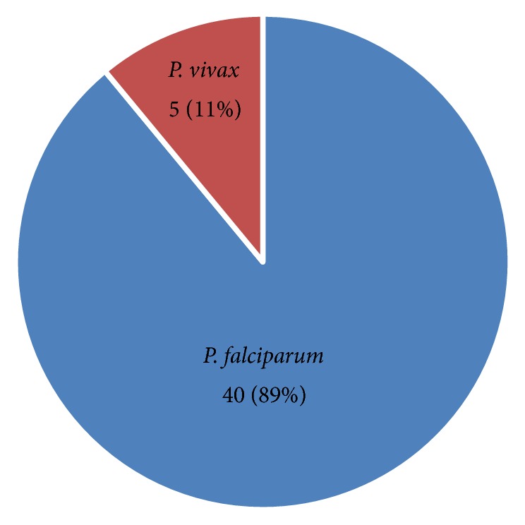 Visceral Leishmaniasis-Malaria Coinfection and Their Associated Factors in Patients Attending Metema Hospital, Northwest Ethiopia: Suggestion for Integrated Vector Management.