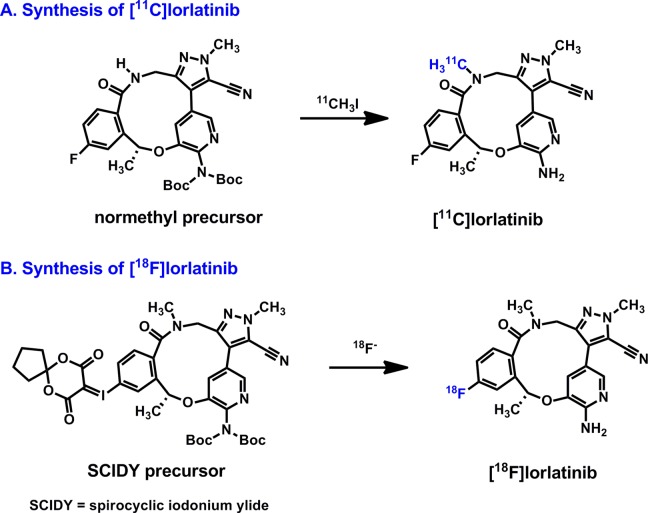 Brain Penetration of the ROS1/ALK Inhibitor Lorlatinib Confirmed by PET.