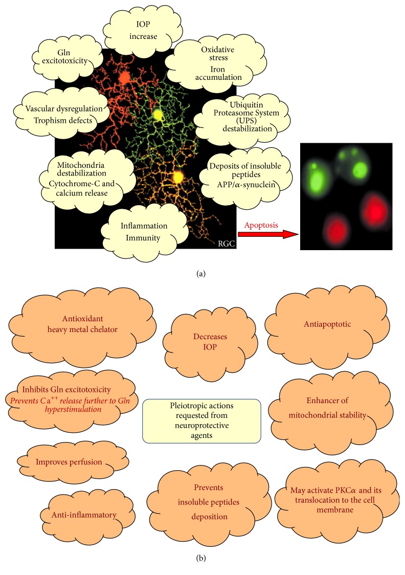 Neuroprotection in Glaucoma: Old and New Promising Treatments.