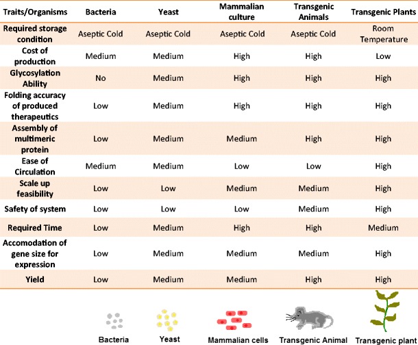 Recombinant Plant Engineering for Immunotherapeutic Production.