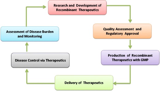 Recombinant Plant Engineering for Immunotherapeutic Production.