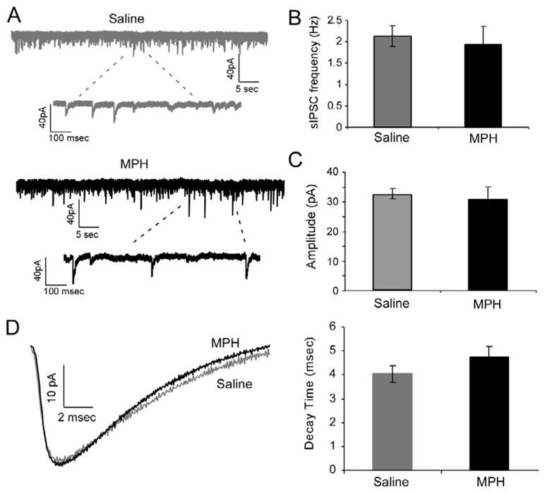A Clinically-Relevant Dose of Methylphenidate Enhances Synaptic Inhibition in the Juvenile Rat Prefrontal Cortex.