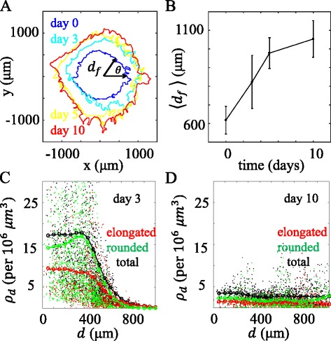 Probing three-dimensional collective cancer invasion with DIGME.