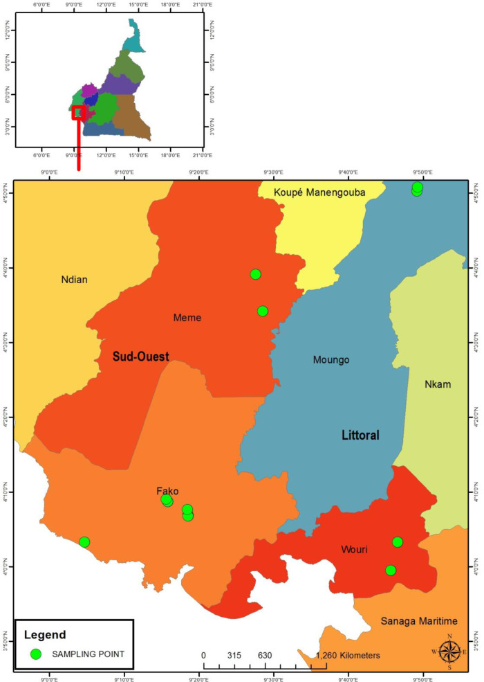 Genetic Diversity and Structure of Domestic Cavy (<i>Cavia porcellus</i>) Populations from Smallholder Farms in Southern Cameroon.