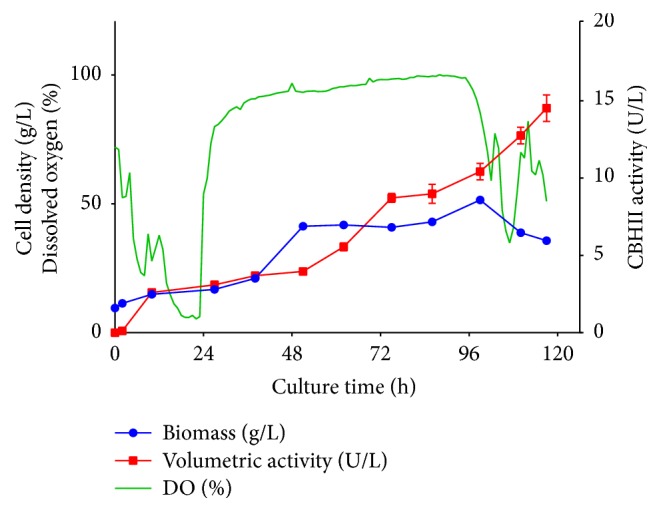 Production of Recombinant <i>Trichoderma reesei</i> Cellobiohydrolase II in a New Expression System Based on <i>Wickerhamomyces anomalus</i>.