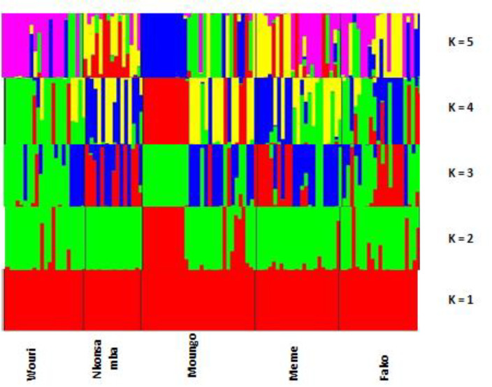 Genetic Diversity and Structure of Domestic Cavy (<i>Cavia porcellus</i>) Populations from Smallholder Farms in Southern Cameroon.