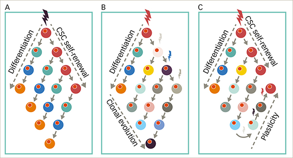 Targeting Cancer Stem Cells-A Renewed Therapeutic Paradigm.