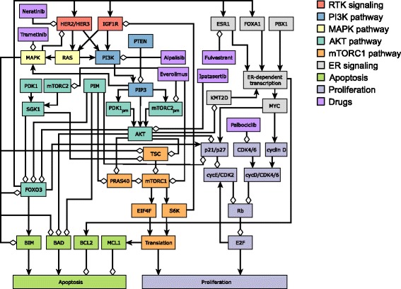 A network modeling approach to elucidate drug resistance mechanisms and predict combinatorial drug treatments in breast cancer.