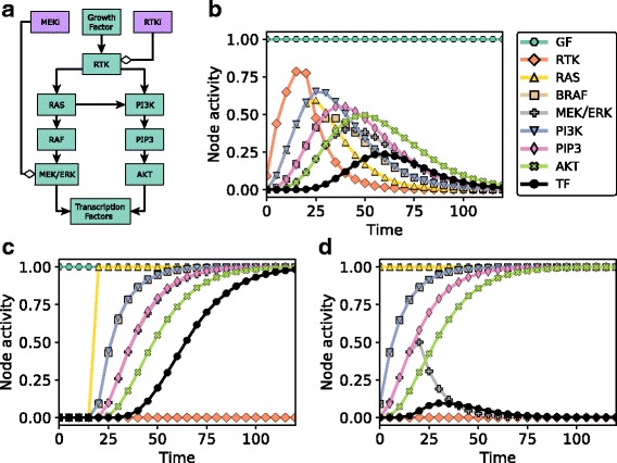 A network modeling approach to elucidate drug resistance mechanisms and predict combinatorial drug treatments in breast cancer.