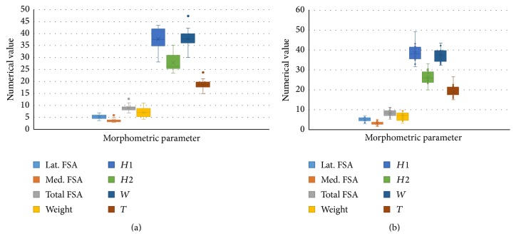 Surface Area of Patellar Facets: Inferential Statistics in the Iraqi Population.